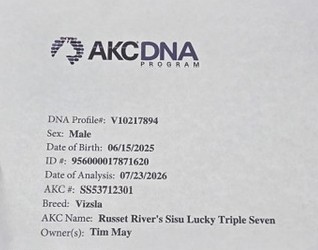 Vegas Health DNA